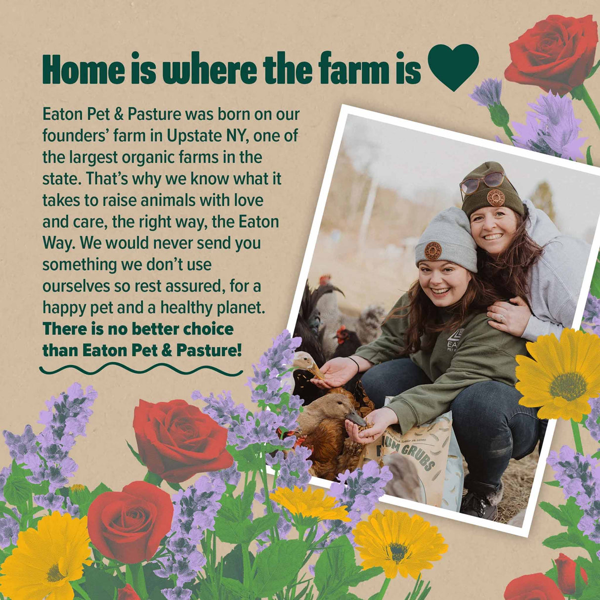 Eaton Pet & Pasture team feeding chickens on their Upstate NY farm, showcasing natural and sustainable care for happy, healthy flocks.