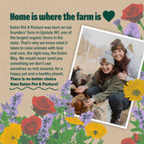 Eaton Pet & Pasture team feeding chickens on their Upstate NY farm, showcasing natural and sustainable care for happy, healthy flocks.