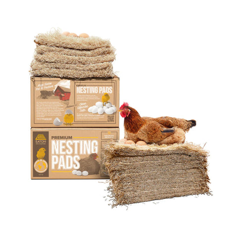 Hatching Time Eaton. Nesting pads can be seen being used by a chicken with eggs. Boxes of nesting pads are next to them.