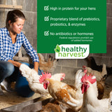 Hatching Time Healthy Harvest. Whole & Hearty 17% Layer feed. A woman can be seen feeding her chickens in the background. Infographic shows no Antibiotics of hormones for chicken feed.