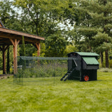 Hatching Time Nestera. Penthouse Coop bundle can be seen in grass assembleded with coop run.