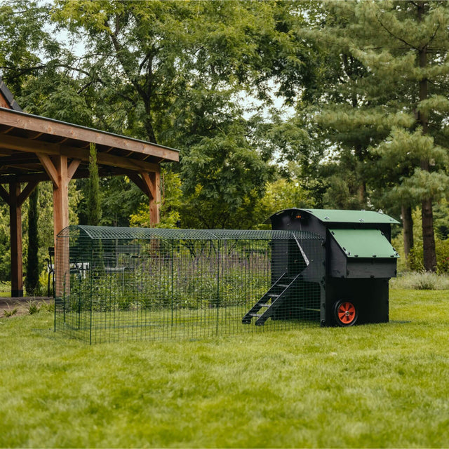 Hatching Time Nestera. Penthouse Coop bundle can be seen in grass assembleded with coop run.