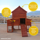 Chicken Coop for 6 Chickens - Orpington Lodge with Run Options