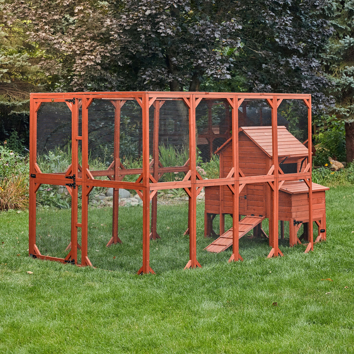 Chicken Coop for 6 Chickens - Orpington Lodge with Run Options