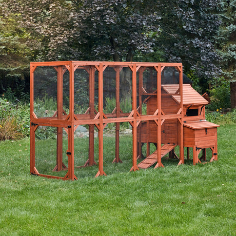 Chicken Coop for 6 Chickens – Orpington Lodge w/ Run Options