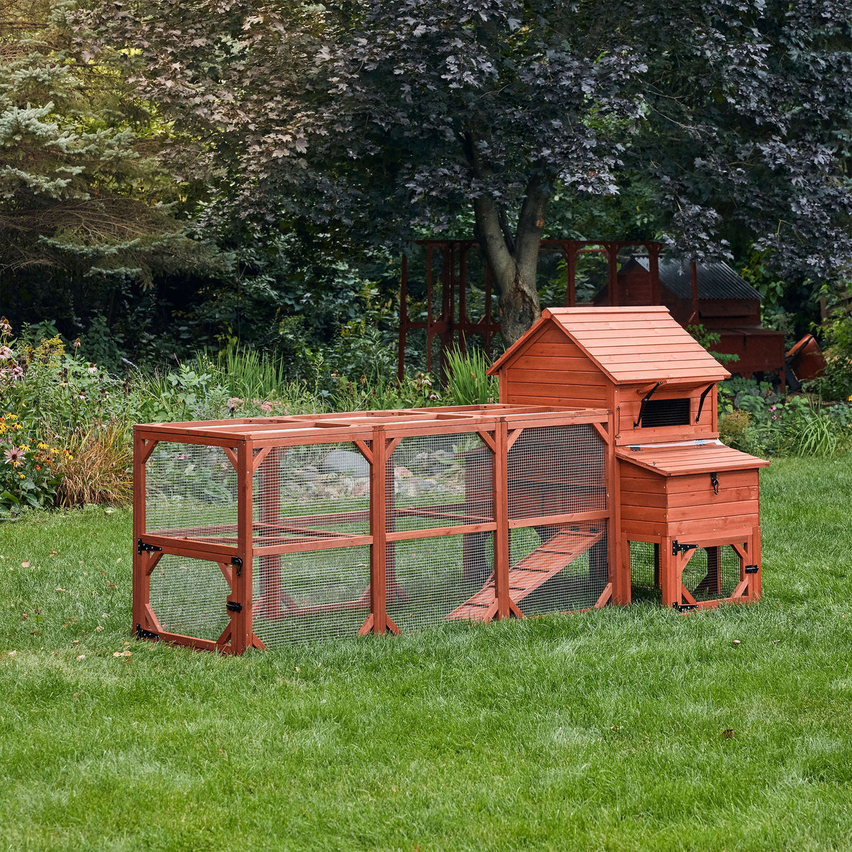 Chicken Coop for 6 Chickens - Orpington Lodge with Run Options