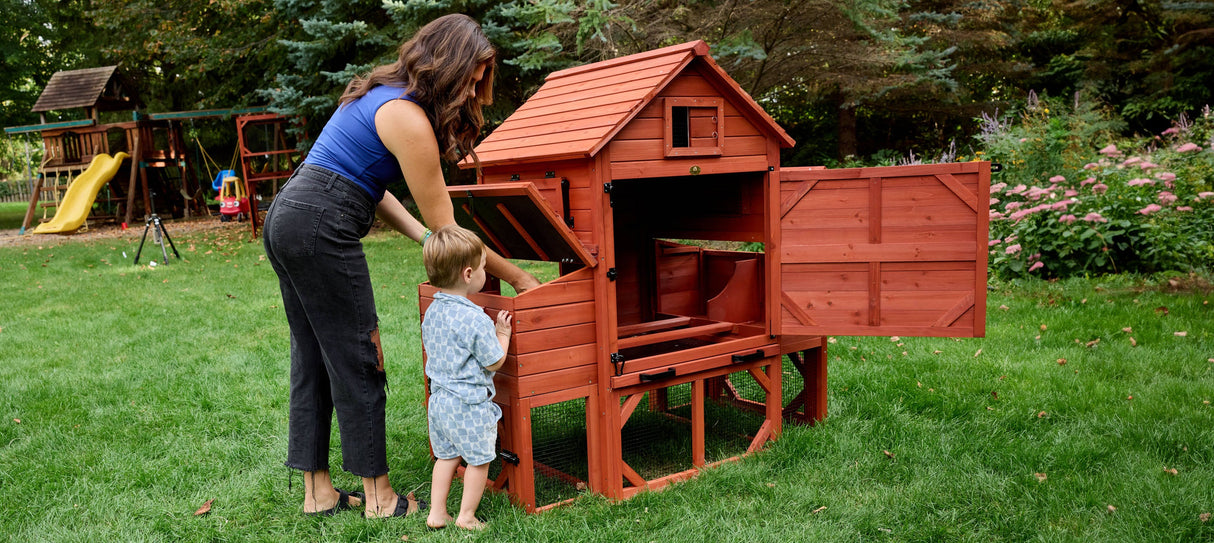 Chicken Coop for 6 Chickens - Orpington Lodge with Run Options