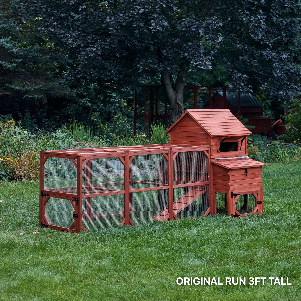Chicken Coop for 6 Chickens - Orpington Lodge with Run Options
