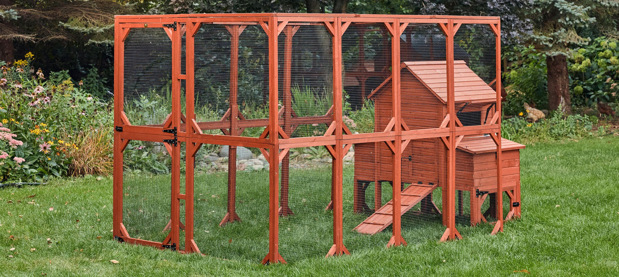 Chicken Coop for 6 Chickens - Orpington Lodge with Run Options