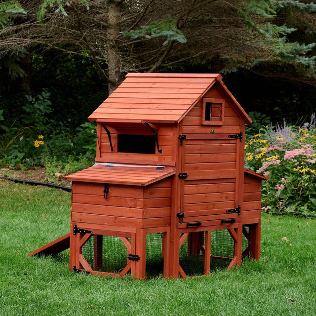 Orpington wooden chicken coop with nesting box in a backyard garden