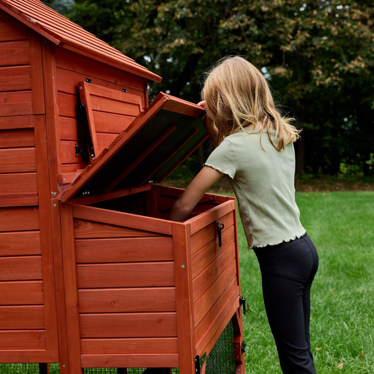 Chicken Coop for 6 Chickens - Orpington Lodge with Run Options