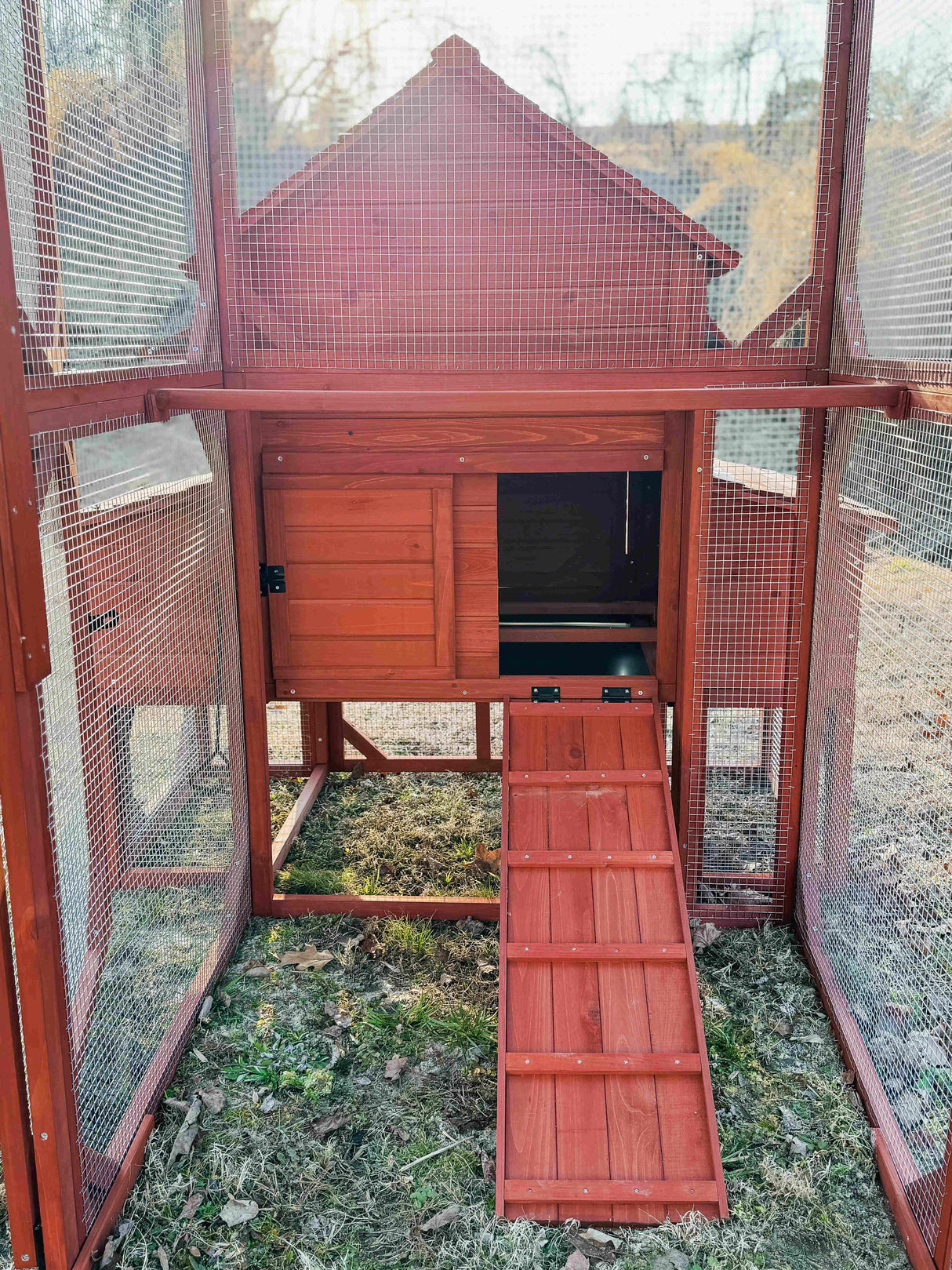 Chicken Coop for 6 Chickens - Orpington Lodge with Run Options