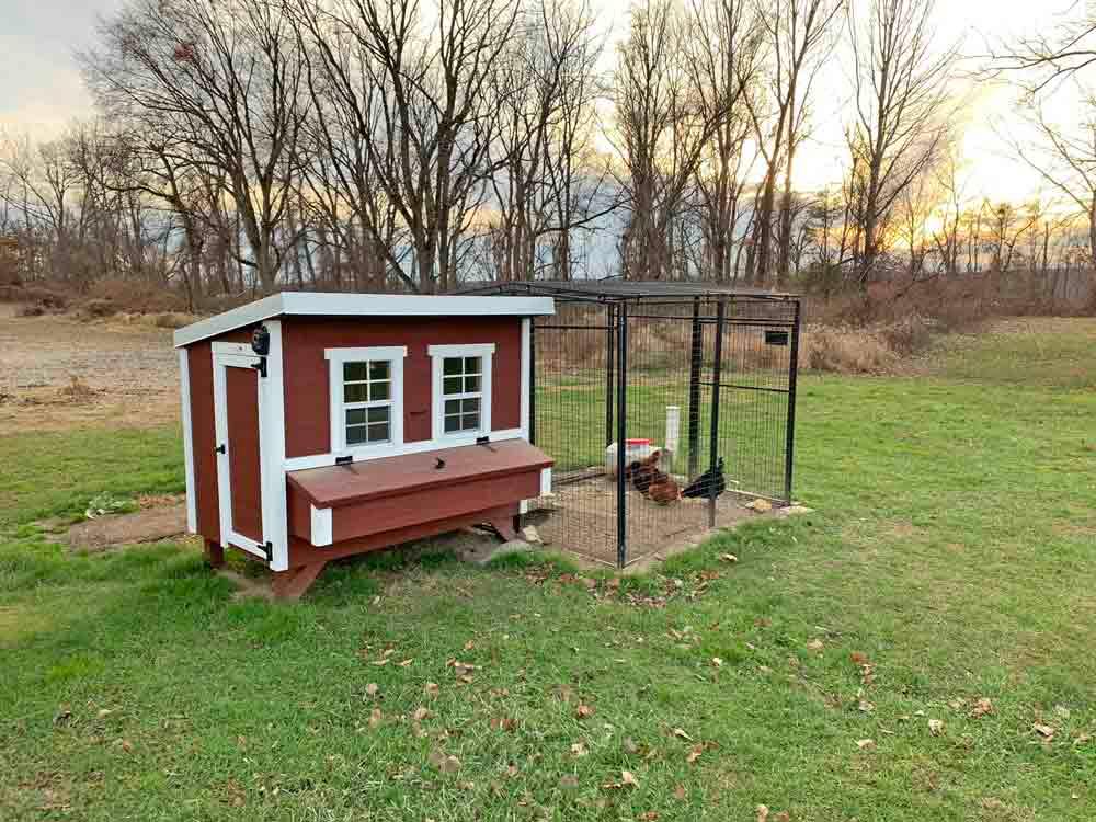 Chicken Coop - Large (Up to 15 Chickens)