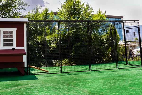 Walk-In 15 ft. Chicken Run