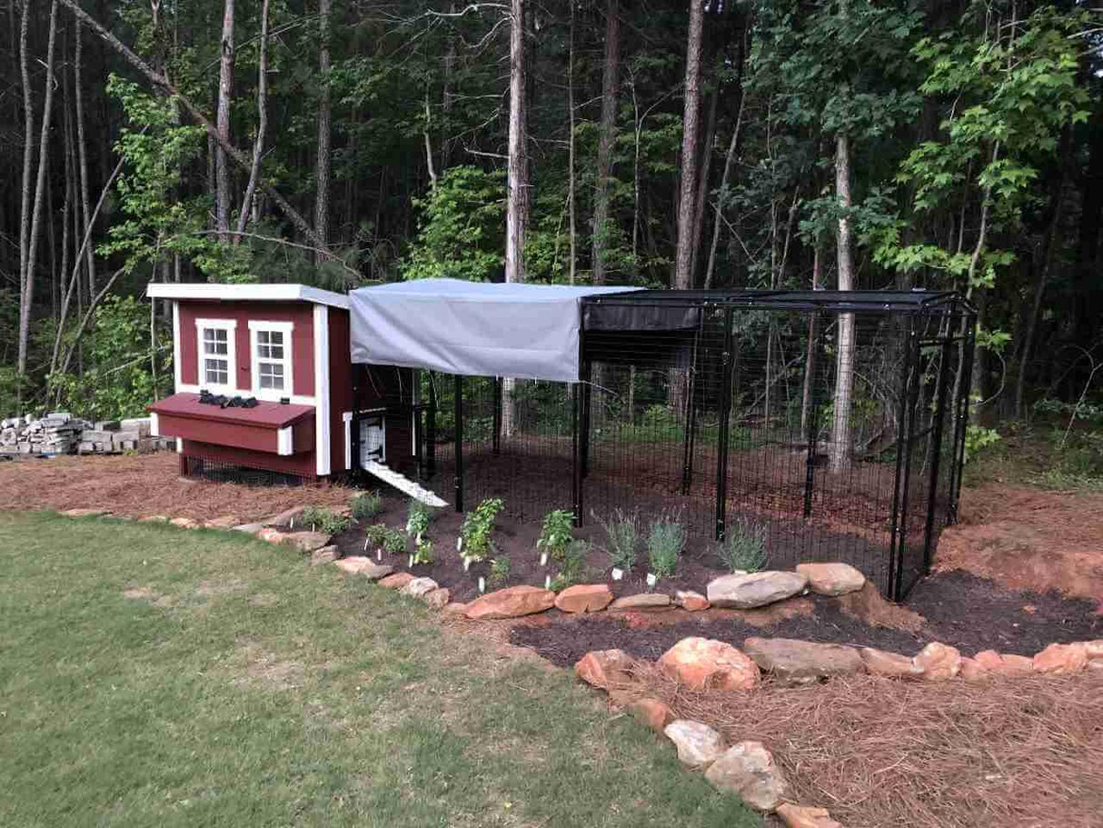 Walk-In 15 ft. Chicken Run