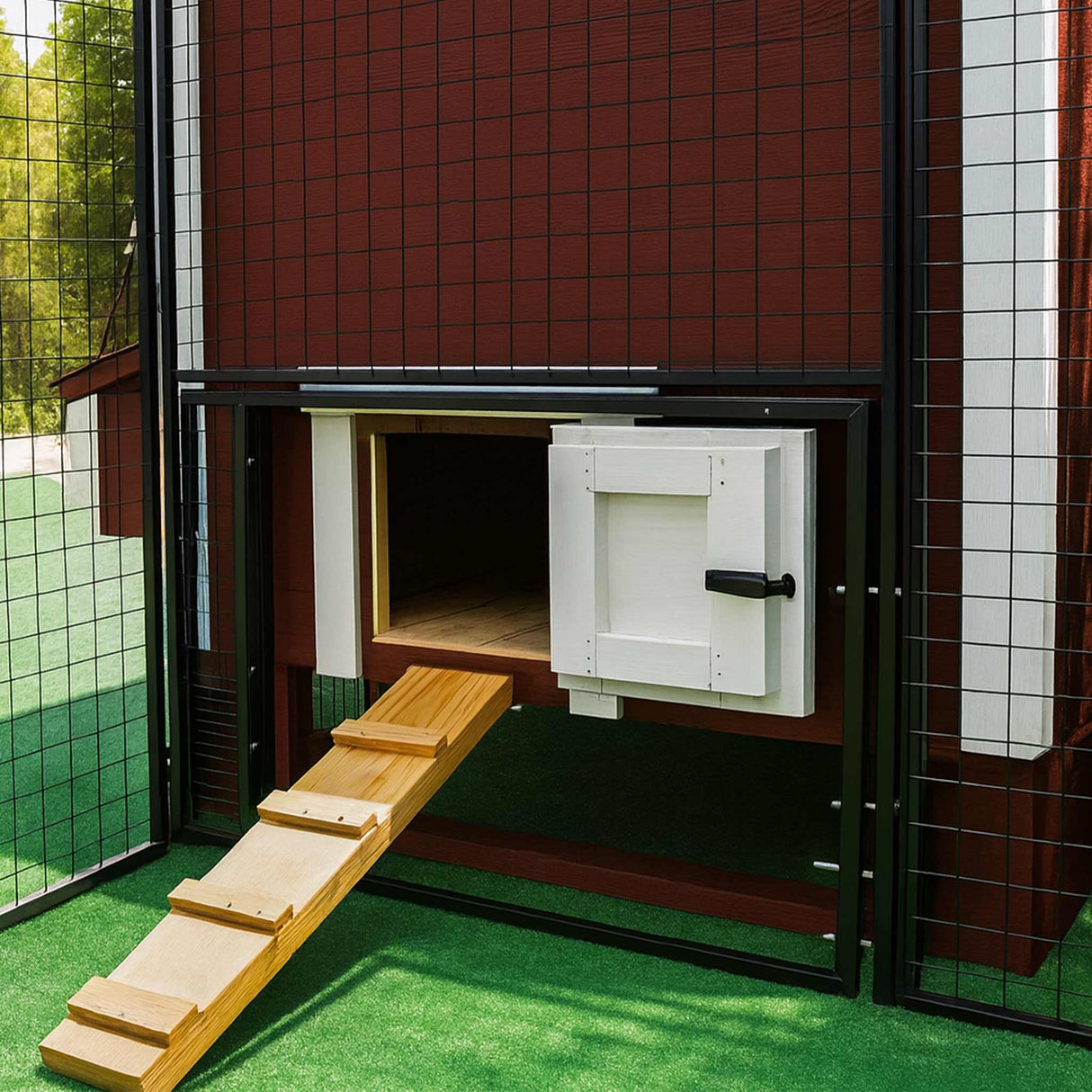 Hatching Time OverEZ interior of 8 foot chicken run connected to chicken coop.