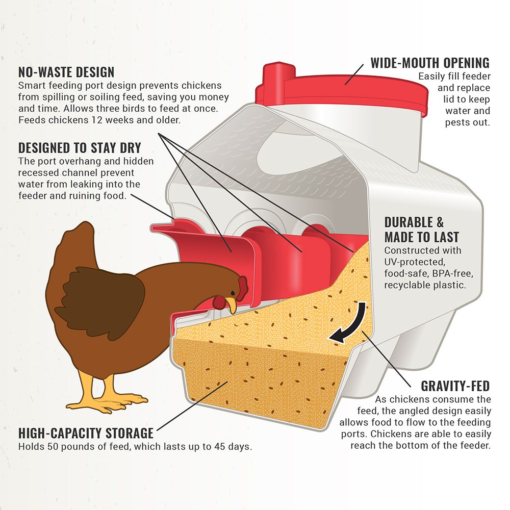 Chicken Feeder - 50 Pounds