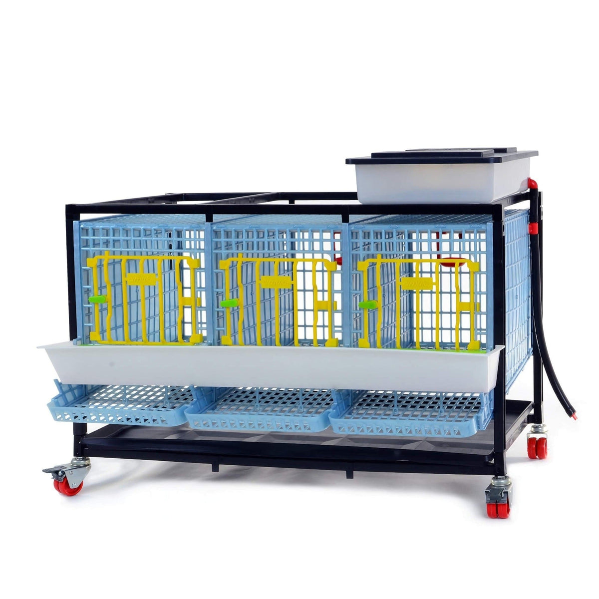 Partridge Cage - 1 Layer (Breeding Pen, Stackable Coop) - Cimuka ...