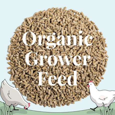 Mile Four Organic Chicken Grower Feed