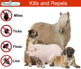 Pet Protector By Premo Guard - 128 oz infographic showing the sprey repels and kills Mites,Ticks, Fleas, and Lice