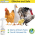 Hatching Time Premo Guard. Infographic with Chicken, Duck, chick and Turkey to show variety of poultry it's useful for. Text reads safe for all birds and poultry. Made form Clove & Cottonseed oils.