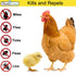 Hatching Time Premo Guard. Infographic shows chicken and baby chick. Effective against Mites, flies, ticks, fleas and lice.