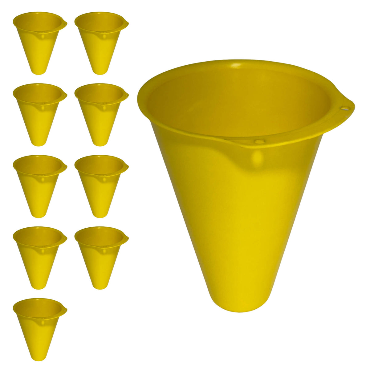 10 Processing Cones for Partridge/Pheasant