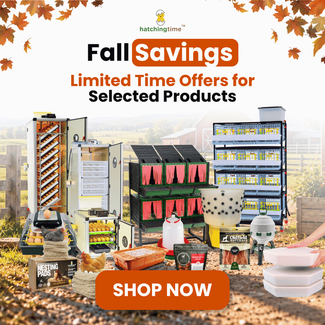 Coupons Codes and Promotions | Hatching Time