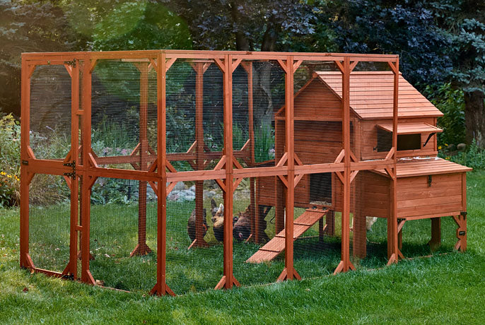 Chicken Coop for 10 Chickens - Rhode Island Homestead w/ Run Options