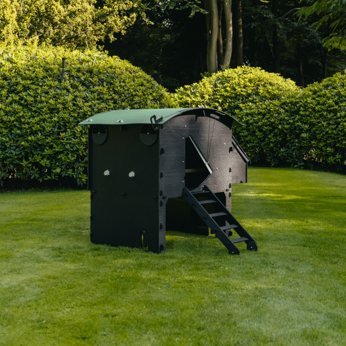 Hatching Time Nestera. Large Raised coop can be seen in image on grass. Coop has door open with automatic coop opener. Ramp is leading up to opening for easy chicken access. Nesting box is on side connected to chicken coop, with lifting door for easy egg access. Roof of coop is slanted to prevent roosting.