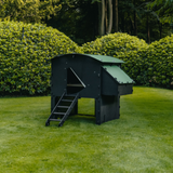 Hatching Time Nestera. Large Raised coop can be seen in image on grass. Coop has door open with automatic coop opener. Ramp is leading up to opening for easy chicken access. Nesting box is on side connected to chicken coop, with lifting door for easy egg access. Roof of coop is slanted to prevent roosting.