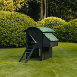 Hatching Time Nestera. Medium Raised coop can be seen in image on grass. Coop has door open with automatic coop opener. Ramp is leading up to opening for easy chicken access. Nesting box is on side connected to chicken coop, with lifting door for easy egg access. Roof of coop is slanted to prevent roosting.