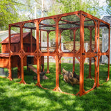 Rhode Island Homestead chicken coop with chickens inside