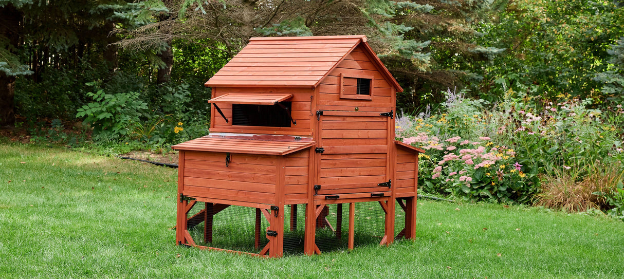 Chicken Coop for 10 Chickens - Rhode Island Homestead w/ Run Options