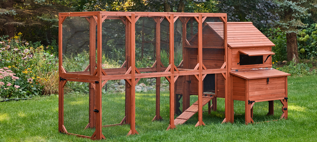 Chicken Coop for 10 Chickens - Rhode Island Homestead w/ Run Options