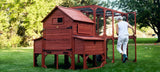 Chicken Coop for 10 Chickens - Rhode Island Homestead w/ Run Options