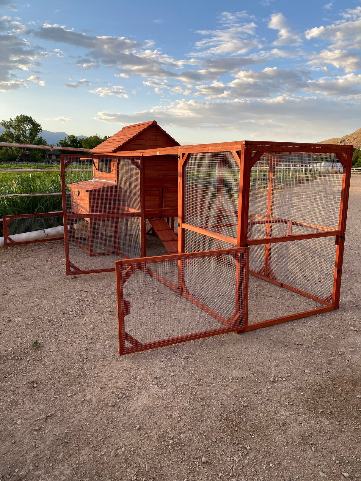 Chicken Coop for 10 Chickens - Rhode Island Homestead w/ Run Options