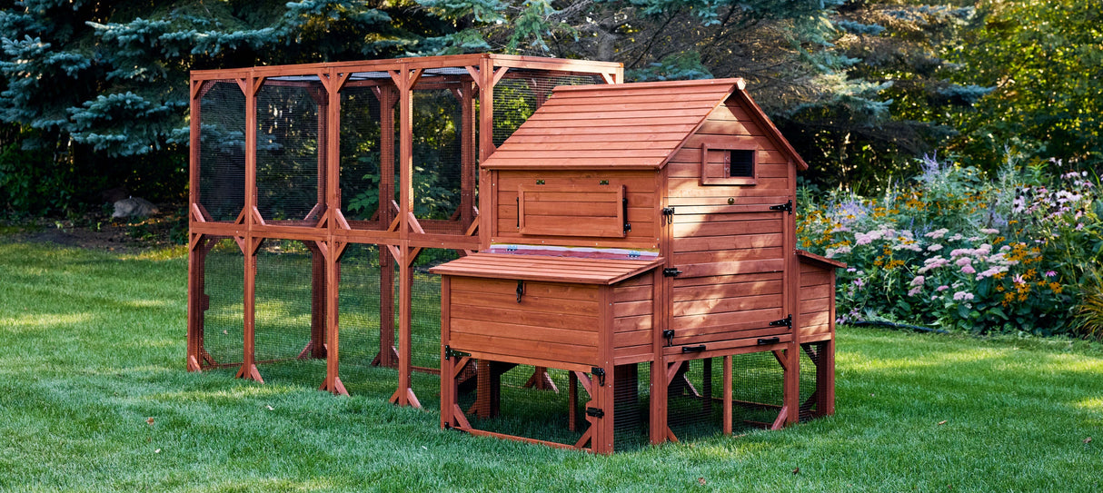 Chicken Coop for 10 Chickens - Rhode Island Homestead w/ Run Options