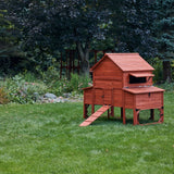 Rhode Island chicken coop with raised wooden shelter and attached outdoor run
