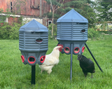 Hatching Time Coopworx 2 40 lb feeder silos can be seen in image next to each other. There are 2 chickens eating from feed silo.