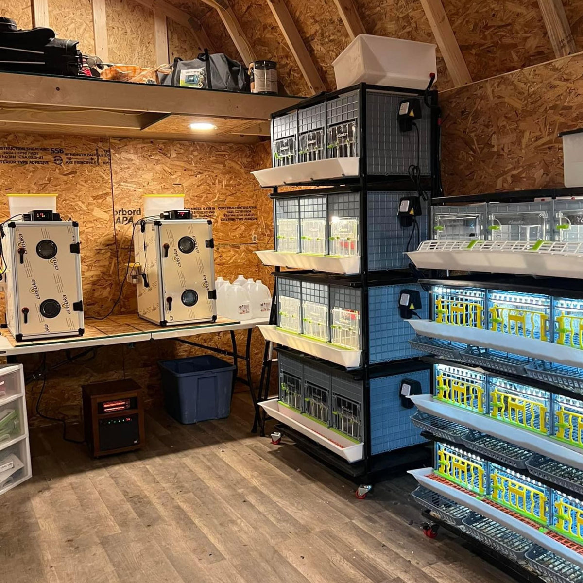 Hatching Time equipment in barn. Explor our egg incubators, chick brooders, grow out pens and more.