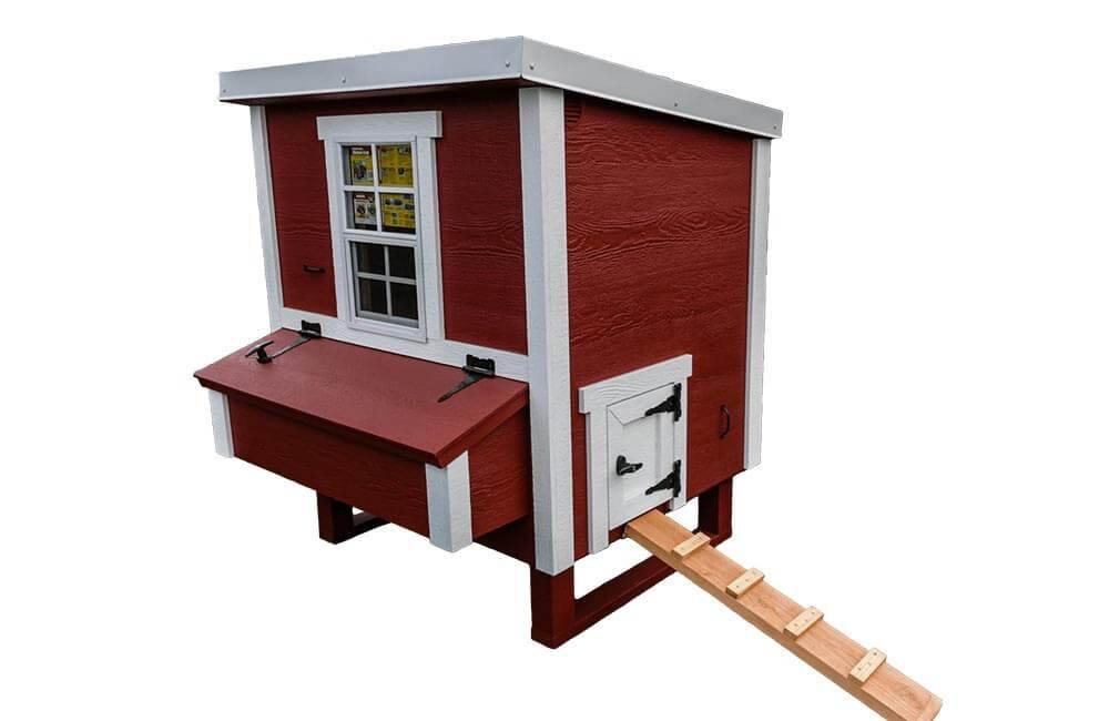 Chicken Coop - Medium (Up to 10 Chickens)