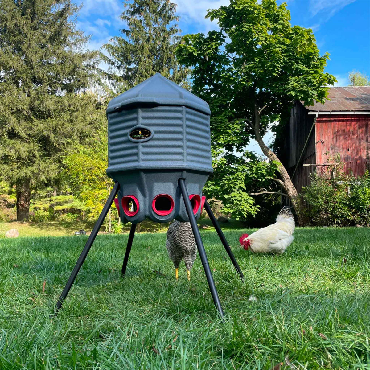 CoopWorx Feed Silo (80 lb Capacity) | Hatching Time