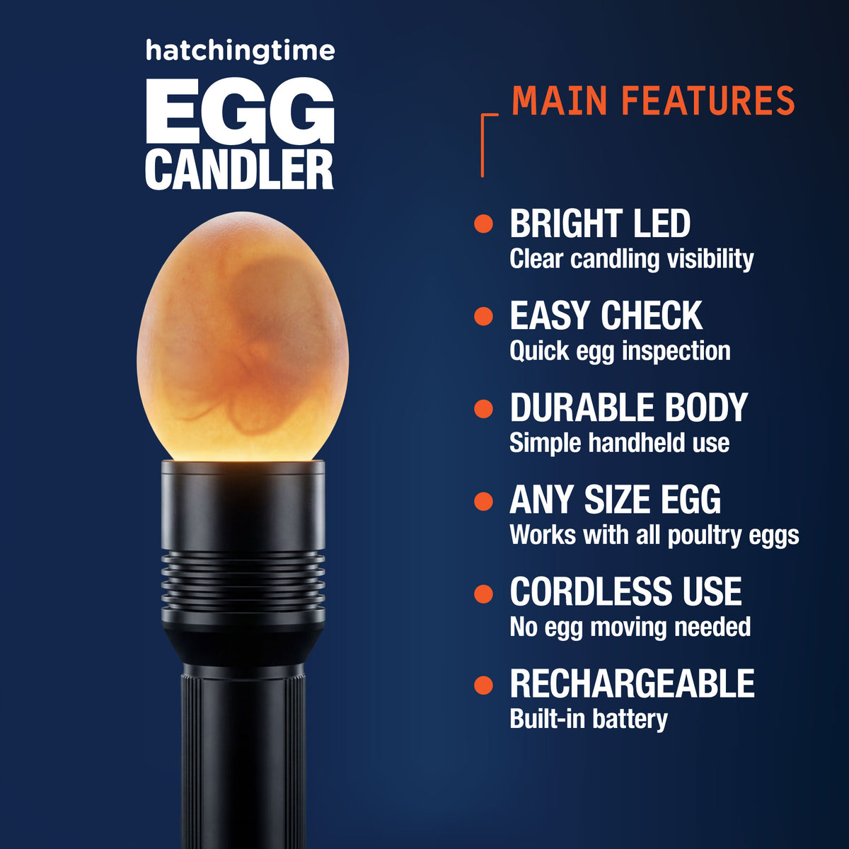 Hatching Time rechargeable egg candler with bright LED, cordless design, and compatibility with poultry egg sizes