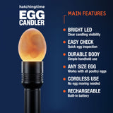 Hatching Time rechargeable egg candler with bright LED, cordless design, and compatibility with poultry egg sizes