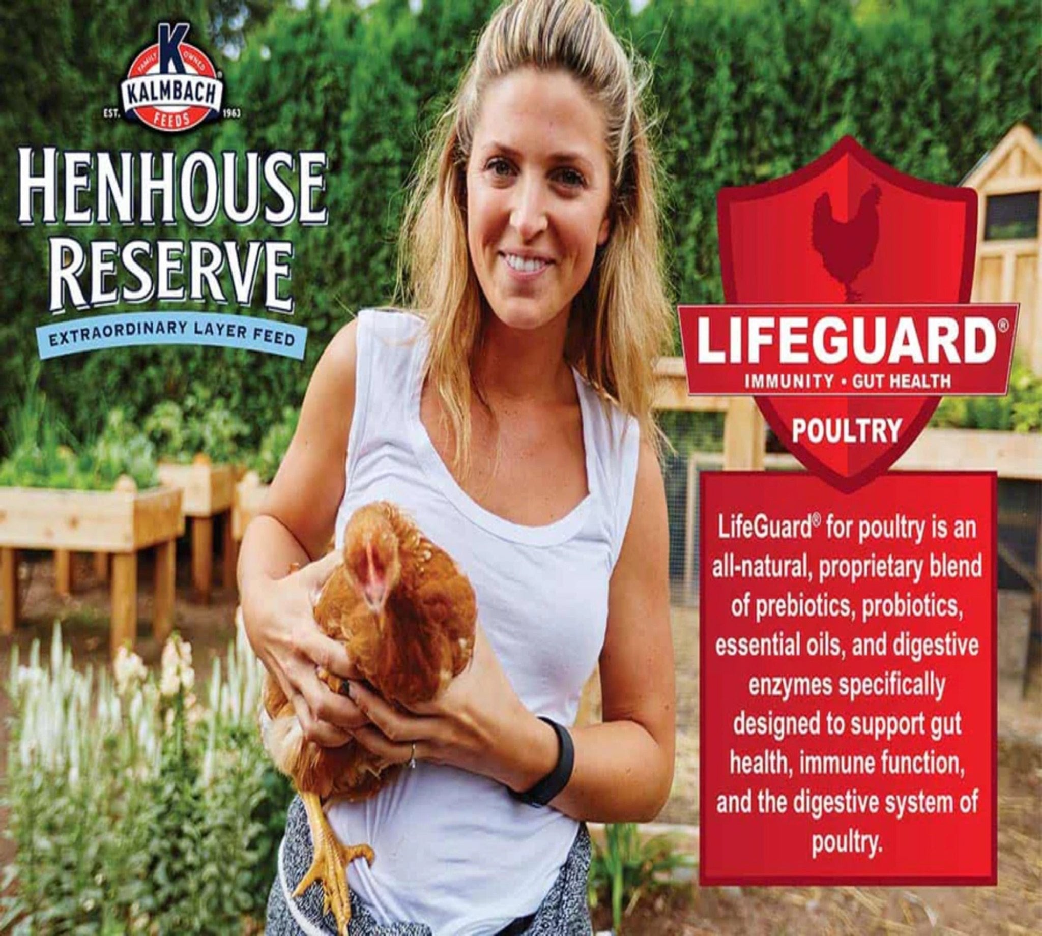 Hatching Time Kalmbach Feeds. Image shows woman holding a chicken next to Lifeguard stamp for chickens digestive health.