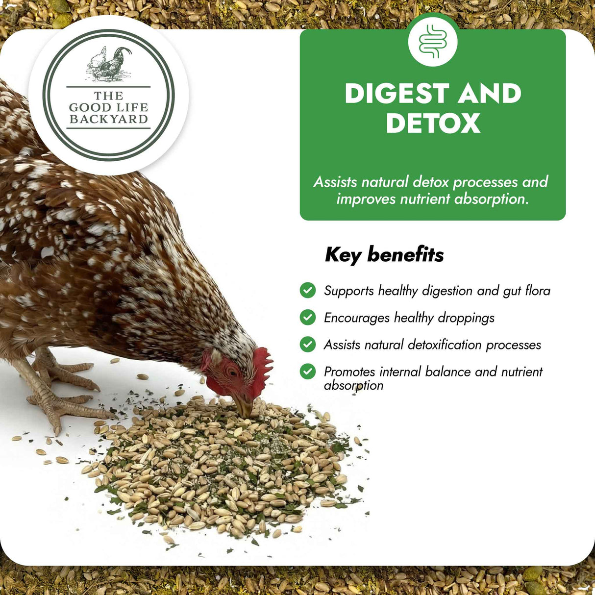 Chicken eating a supplement with 'The Good Life Backyard' branding and text about digestive and detox benefits.