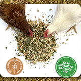 Two chickens pecking at a pile of seeds with branding and text about digestive balance aid.