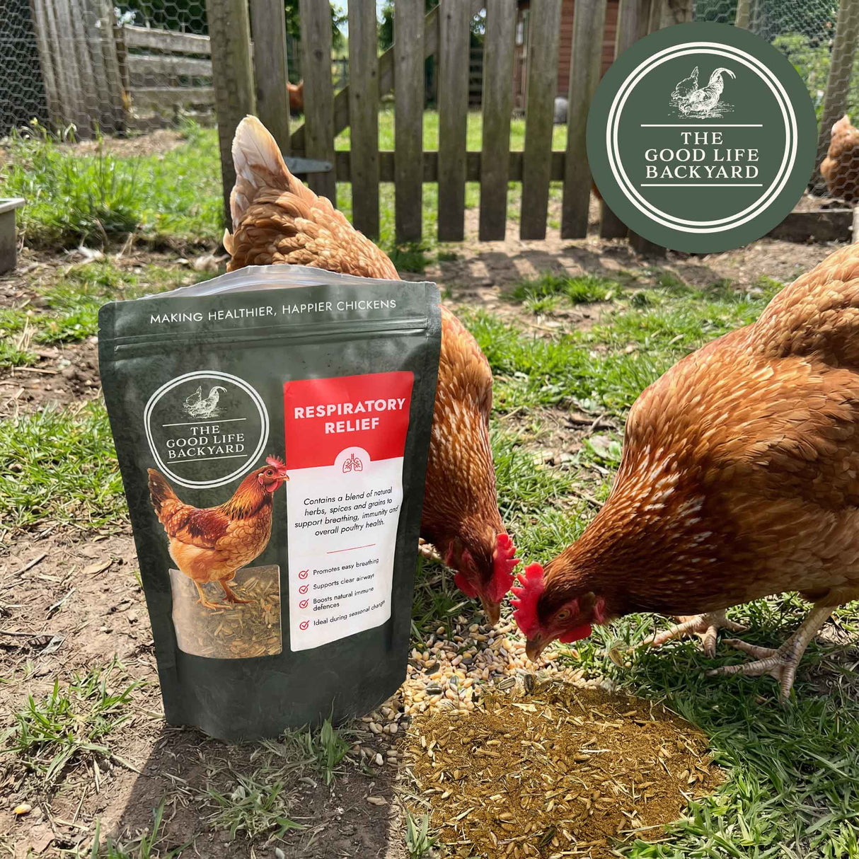 Two chickens interacting with a bag of 'The Good Life Backyard' respiratory relief product in an outdoor setting.