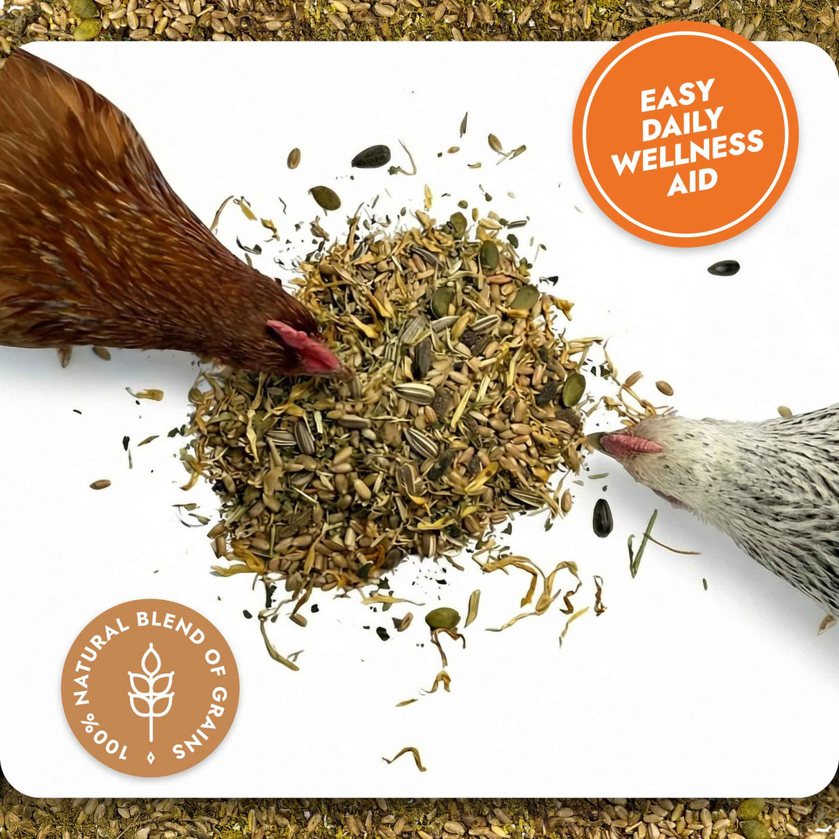 Two chickens interacting with a natural blend of herbs on a white background, with 'Easy Daily Wellness Aid' and 'Natural Blend of Grains' labels.